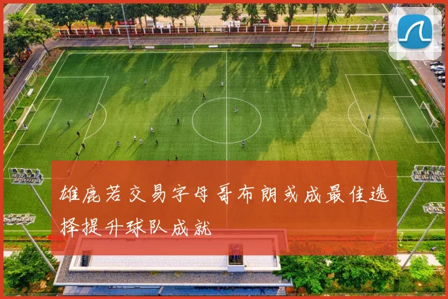 雄鹿若交易字母哥布朗或成最佳选择提升球队成就