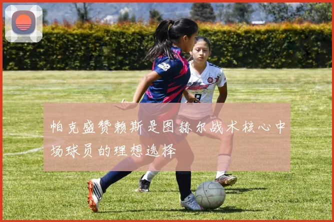帕克盛赞赖斯是图赫尔战术核心中场球员的理想选择