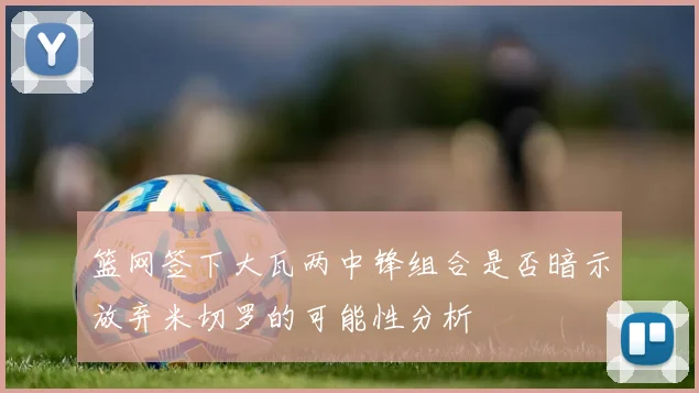 篮网签下大瓦两中锋组合是否暗示放弃米切罗的可能性分析